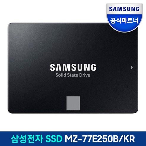 삼성pc 삼성전자 870 EVO SSD, 250GB, MZ-77E250B/KR Best Top5