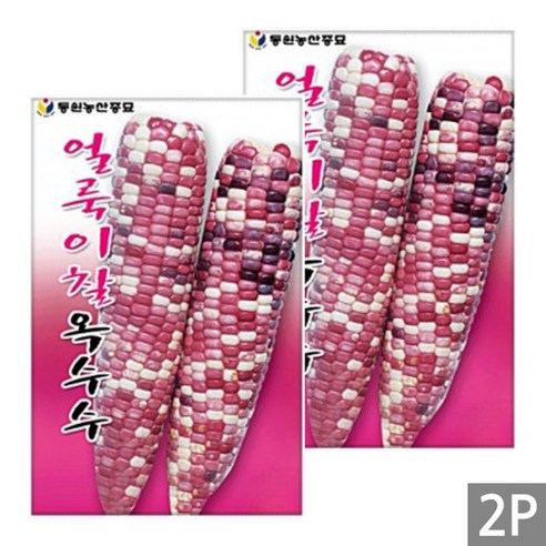 세인화분 얼룩이 찰옥수수 70립 - 국산 옥수수 씨 씨앗, 2개