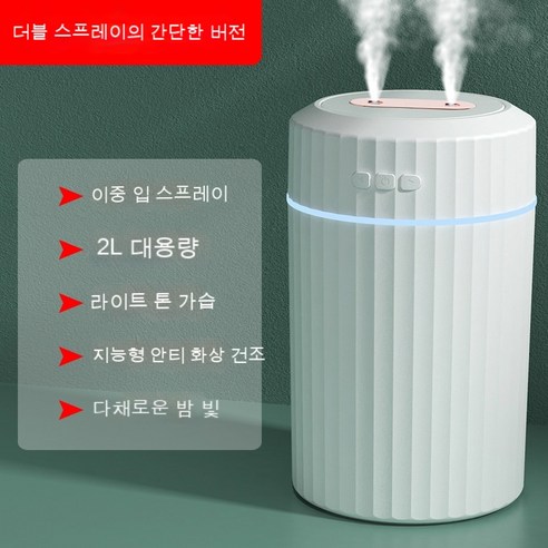 휴대용 음소거탁상용 실내 이류체 미세분무 2L 가습기, E19 더블 스프레이 화이트 일반
