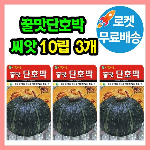 꿀맛 단호박 씨앗 호박씨 단호박 종자, 3개