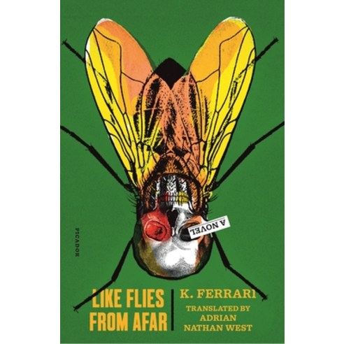 Like Flies from Afar Paperback, Picador USA, English, 9781250785848