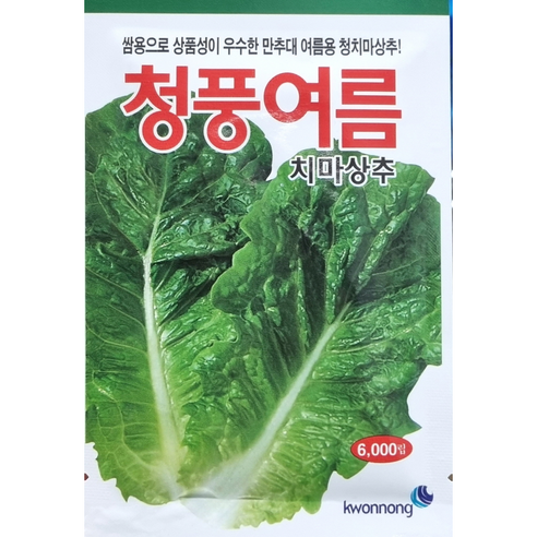 청풍여름 치마상추씨앗6000립 권농종묘 쌈용으로 상품성이 우수한 만추대 여름용 청치마상추, 1개