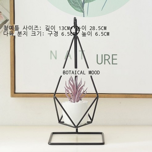 스타일 창의 모방 다육식물 화분 도자기 걸림식 데스크톱 분재 철예 화대 작은 화기, 디자인 2 검은색 바구니에 흰 이빨