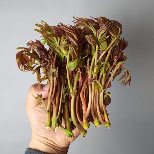 지리산 가죽나물: 봄의 신선함과 건강의 선물