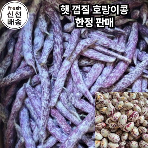 [신선국산] 국산 햇 호랑이콩 껍질호랑이콩 줄콩 울타리콩 Fresh Korean Tiger Beans in Pod, 4kg, 1 ...