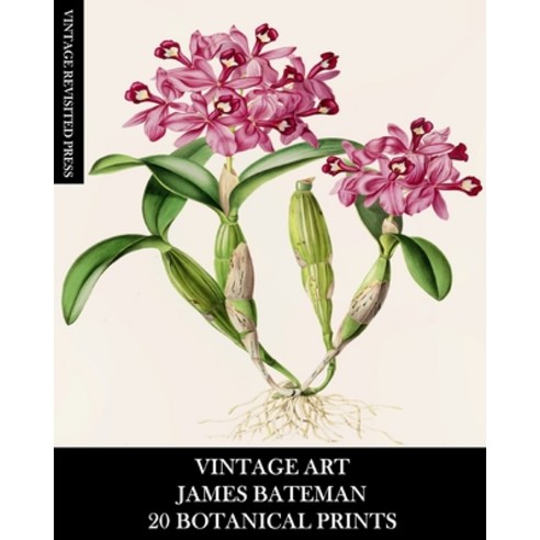 (영문도서) Vintage Art: James Bateman: 20 Botanical Prints: Orchid Ephemera for Framing Home Decor Col... Paperback, Blurb, English, 9798210004253