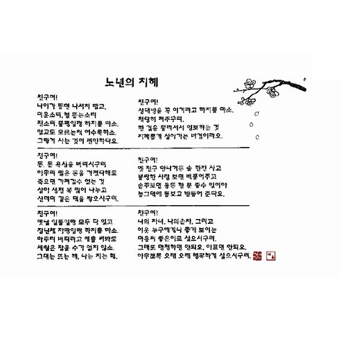 노년의 지혜 다포, 회색, 1개