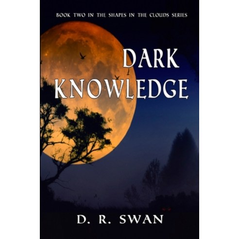 (영문도서) Dark Knowledge Paperback, Createspace Independent Pub..., English, 9781722347970
