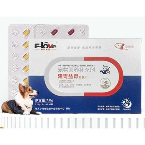 반려동물유산균 강아지유산균 1박스 28정 고양이, 28정/박스