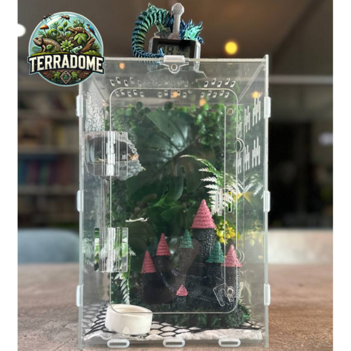 애완 도마뱀을 위한 이상적인 사육장