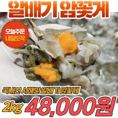 국내산 서해안 알배기 암꽃게 2kg 10마리 내외, 1개