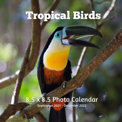 Tropical Birds 8.5 X 8.5 Calendar September 2021 -December 2022: Monthly Calendar with U.S./UK/ Cana... Paperback, Amazon Digital Services LLC..., English, 9798736019830