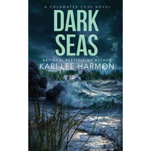 (영문도서) Dark Seas Paperback, Oliver-Heber Books, English, 9781648391880
