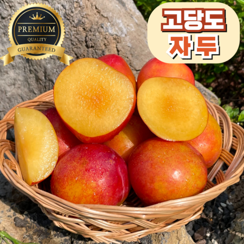 [고당도] 달콤한 제철자두 경북 산지직송, 1개, 특대과 2kg