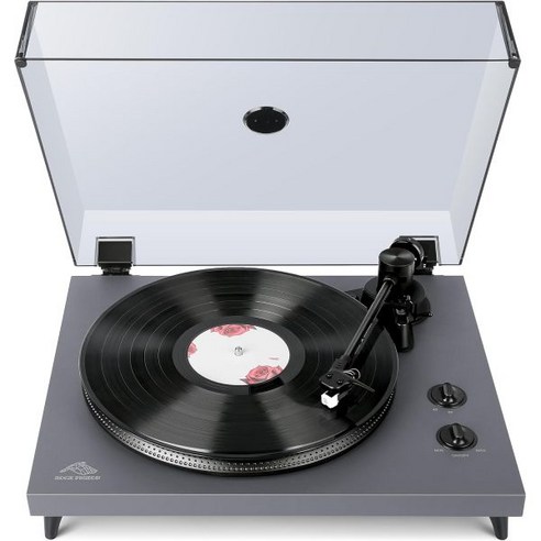 1byone 스피커가 포함된 1 by ONE Rock Pionead Record Player 2단 벨트 구동식 Vinylle Records 턴테이블 내장 포노 프리앰프 무