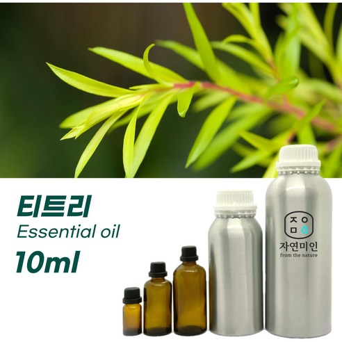 100% PURE 천연 허브 효능 효과 아로마 원액 에센셜 오일 -10ml 모음, 자스민쌈박100%- 10ml