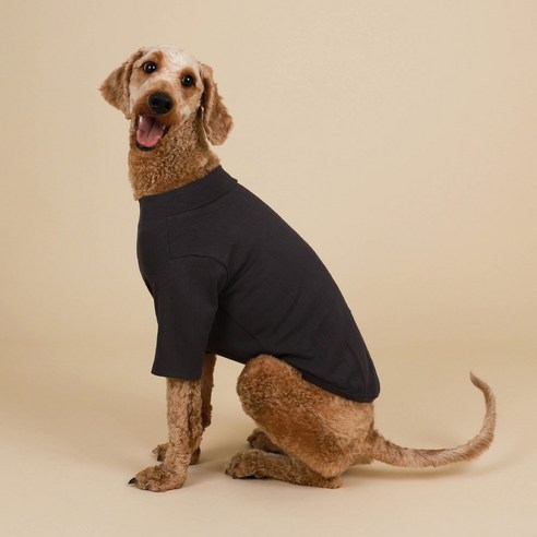 유앤펫 강아지 심플 베이직 컬러 티셔츠, 챠콜, XL, 1개