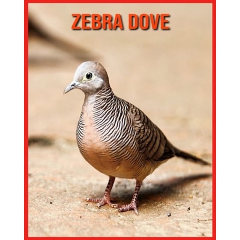 Zebra Dove: Incredible Pictures and Fun Facts about Zebra Dove Paperback, 9798707349362, English, Independently Published