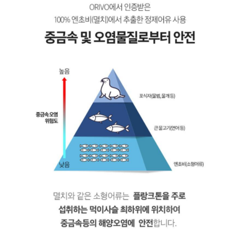 뉴트리원 알티지 오메가3 프리미엄: 혈행 건강에 필수적인 고순도 오메가3 보충제