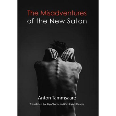 The Misadventures of the New Satan Paperback, Norvik Press