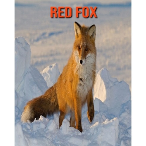 Red Fox: Fun Facts & Cool Pictures Paperback, Independently Published