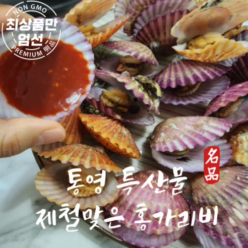 제철맞은 홍가리비 통영 비단가리비 1kg[신선보장], 통영 비단가리비 1kg(24미내외), 1개