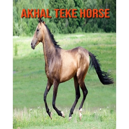 Akhal Teke Horse: Childrens Book Amazing Facts & Pictures about Akhal Teke Horse Paperback, Independently Published