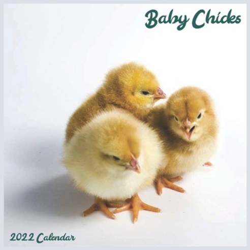 Baby Chicks 2022 Calendar: Official Baby Chicken 2022 Calendar 16 Month Paperback, Independently Published, English, 9798744691738