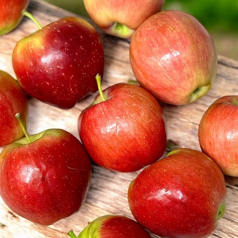 앙증맞은 매력에 푹 빠지다: 루비에스 미니사과, 맛과 건강을 한 입에!