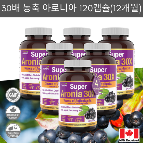 아로니아정 7500mg 120식물성캡슐 30배 농축 고함량 아로니아 캡슐 안토시아닌 허바 캐나다, 120정, 6개