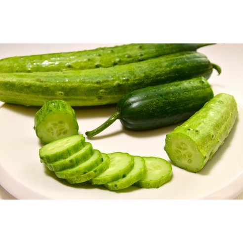 (산지직송) 100% 국내산 시원 아삭 백오이, 1개, 4kg