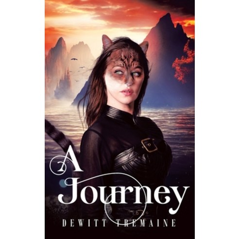 (영문도서) A Journey Hardcover, Book Vine Press