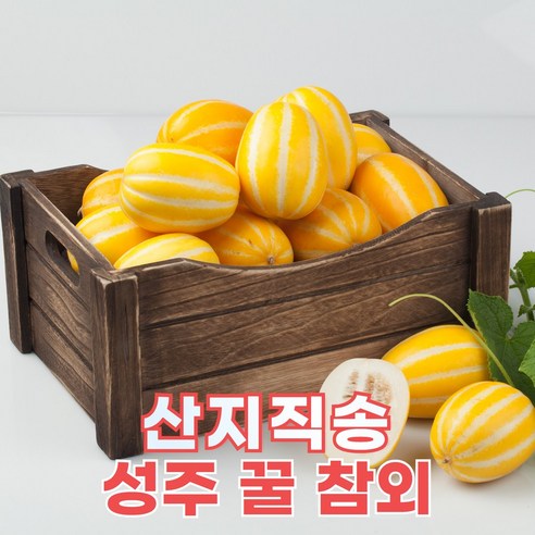[농가직송] 성주참외 고당도 꿀 참외 로얄과 대과 korean melon, 1박스, 아삭시원 대과(5kg)