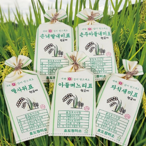 흥작가 쌀포대 용돈봉투 자식농사 풍년 생일 생신 설날 추석 어버이날 부모님 용돈이벤트, 새해복많이받으세요, 아들내미표, 황색_벼모양 쌀포대, 1개