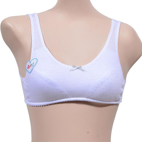 초딩 판치라 