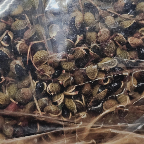 국내산 자연산 산초 제피 열매, 250g당 1개