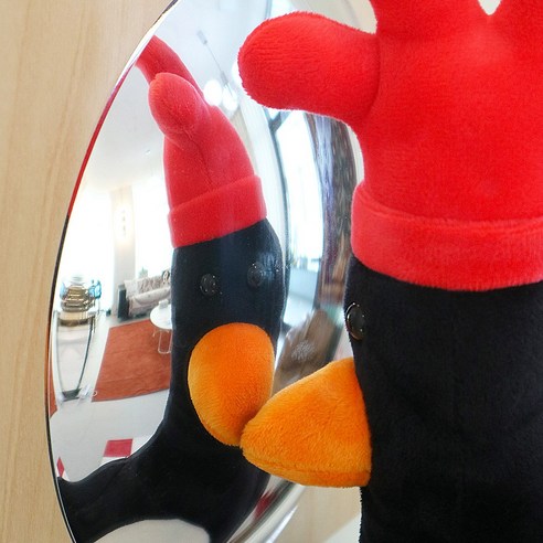 지친 일상에 위로를 선물하는 펭귄, 맥그로우 인형