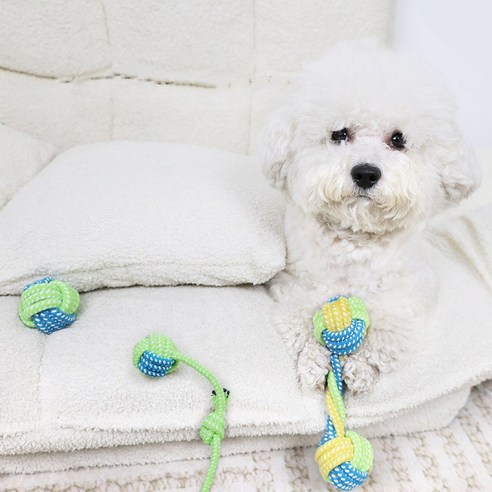 강아지의 자연스러운 놀이 욕구를 충족시키는 최적의 장난감 세트