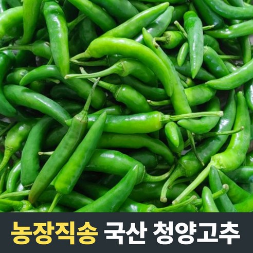 [농장직송] 국산 청양고추 5kg 10kg 못난이 청양고추 업소용 대용량 벌크 땡초 홍고추 매운고추 땡초고추 매운청양고추1kg 청량고추 매운청양고추 청양고추1kg 매운고추땡초, 1개, 5kg(상/못난이)