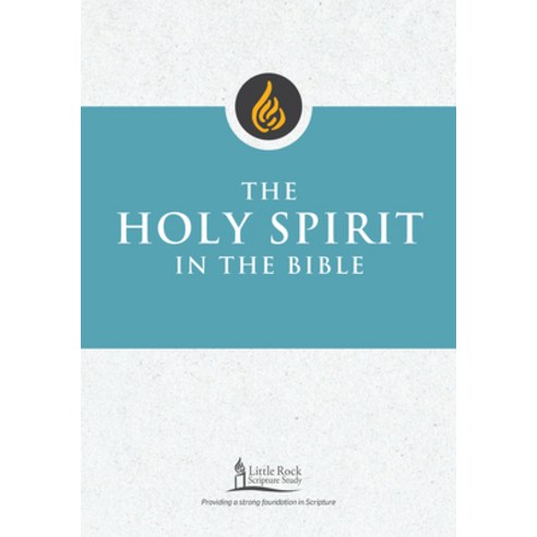 (영문도서) The Holy Spirit in the Bible Paperback, Liturgical Press, English, 9780814666630
