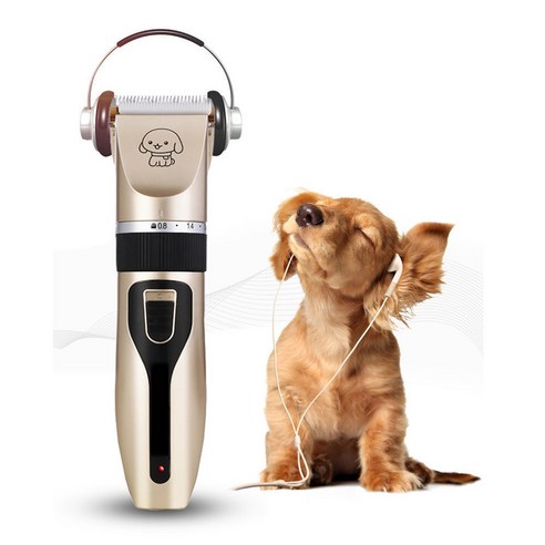 반려동물 미용의 새로운 기준