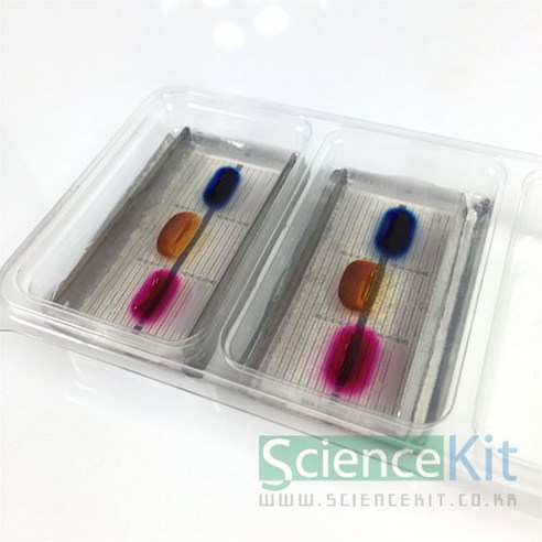 답답한 과학 실험 이제 안녕 이온의 이동 RKT로 쉽고 재미있게