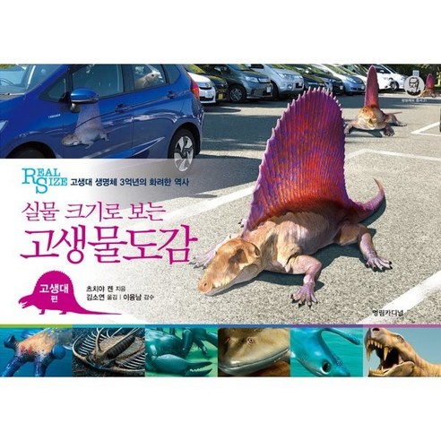 실물 크기로 보는 고생물도감(고생대 편):고생대 생명체 3억년의 화려한 역사, 영림카디널, 츠치야 켄 저/김소연 역/이융남 감수