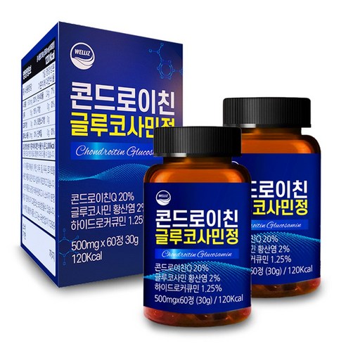 웰리즈 콘드로이친 글루코사민정 500mg x 60정 1박스, 2개