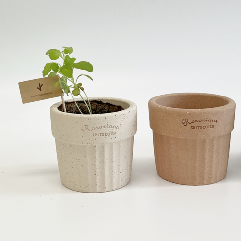 숨쉬는 토분, 나만의 작은 정원을 완성하다