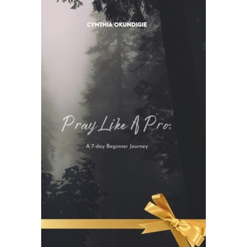 (영문도서) Pray Like a Pro: A 7-Day Beginner Journey Paperback, Independently Published, English, 9798332600920
