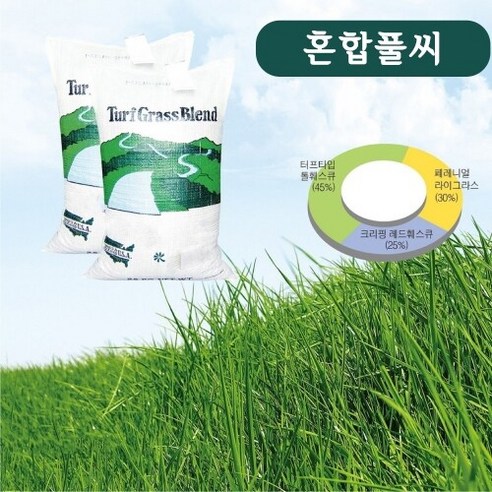 성실 홀잡 잔디종자 혼합 1kg (단품 없음) 양잔디 성실 홀잡 잔디종자 혼합 1kg (단품 없음) 양잔디