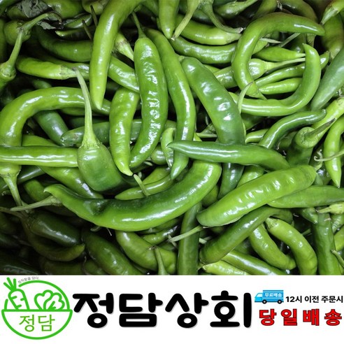 [ 정담상회 ] 국내산 오이고추 못난이고추 아삭이고추 오이맛고추 [상등급] 내외