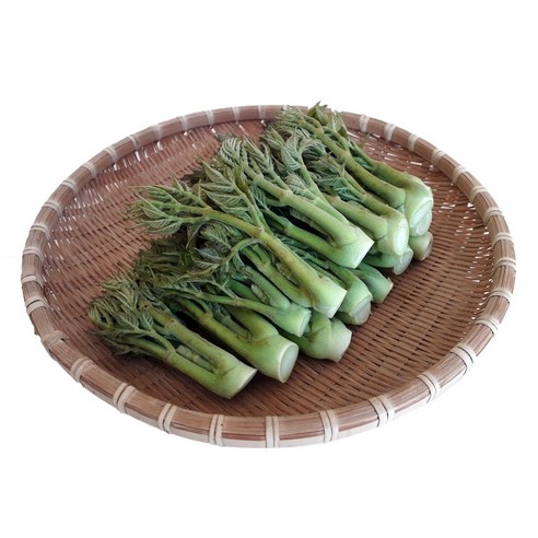 남해 땅두릅 특품 봄 제철 나물 자연산 산지직송, 2kg, 1개