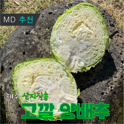 아삭하고 달콤한 제주도 햇 양배추, 10kg, 6개